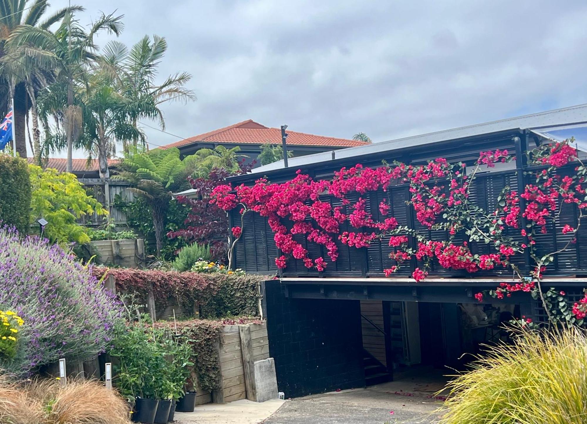 Brophys Beach Studio Whitianga Ngoại thất bức ảnh